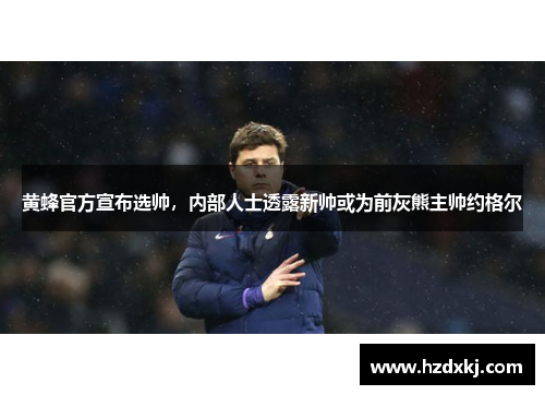 黄蜂官方宣布选帅，内部人士透露新帅或为前灰熊主帅约格尔