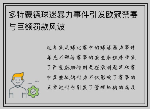 多特蒙德球迷暴力事件引发欧冠禁赛与巨额罚款风波